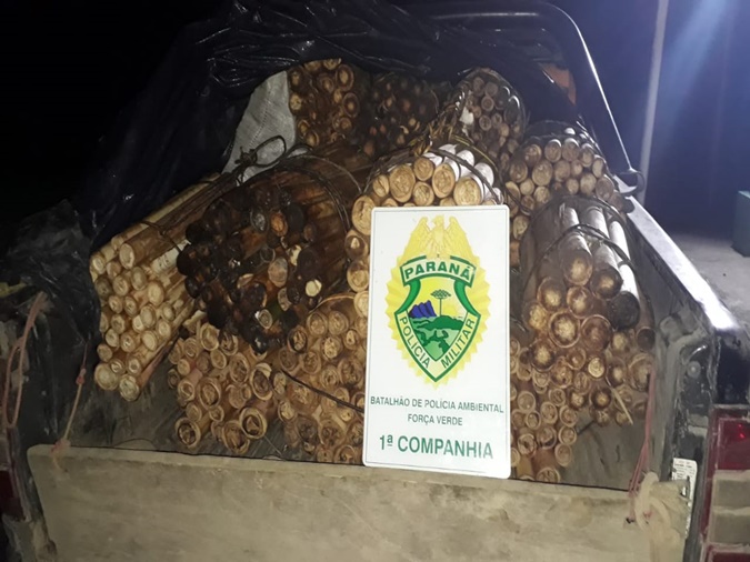 BPAmb apreende drogas no interior de veículo que transportava palmitos nativos